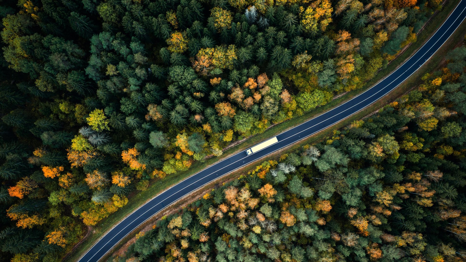 truck on highway through forest