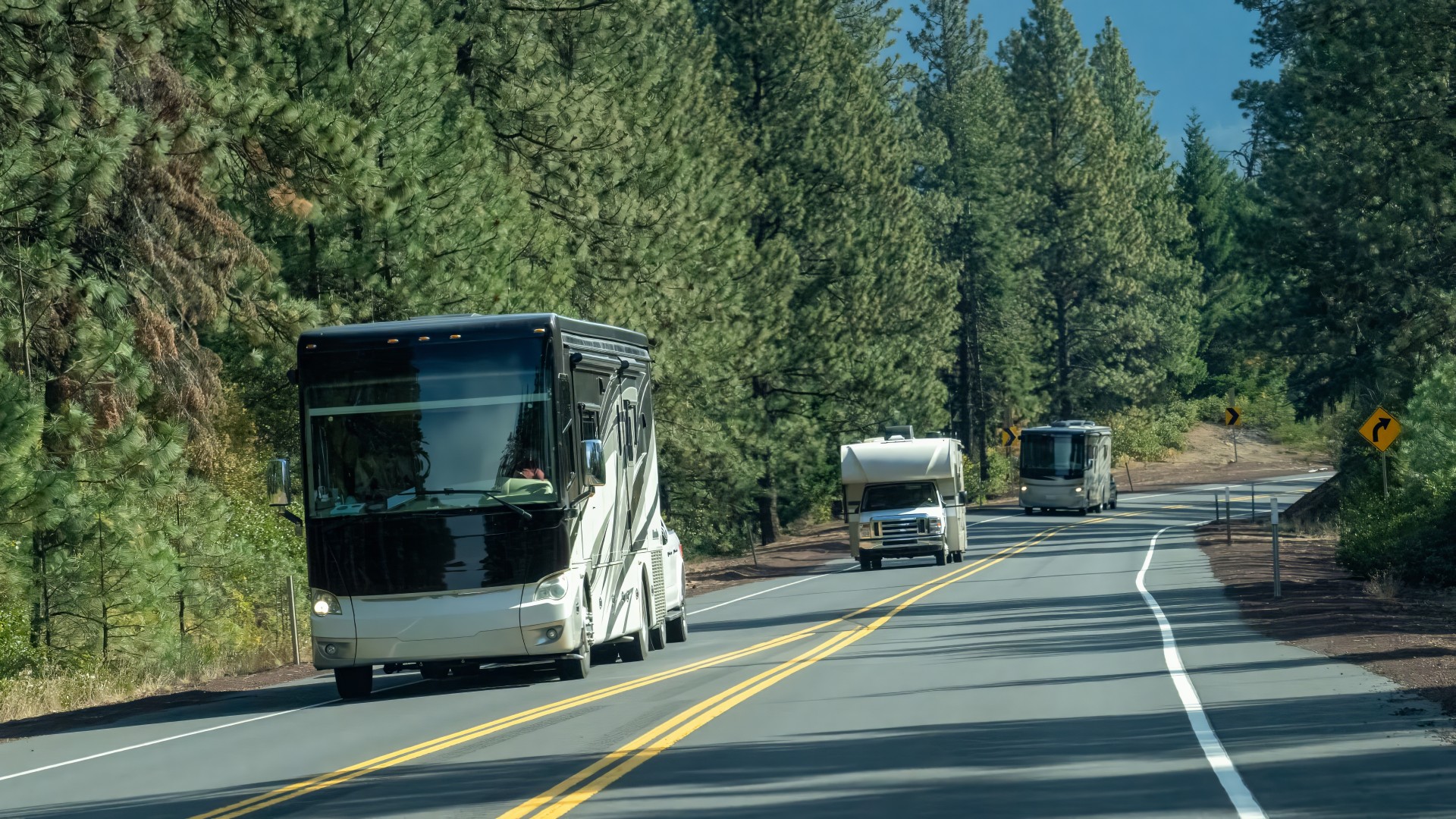 Several types of RVs driving though a forest