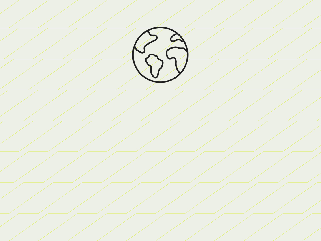 Globe icon