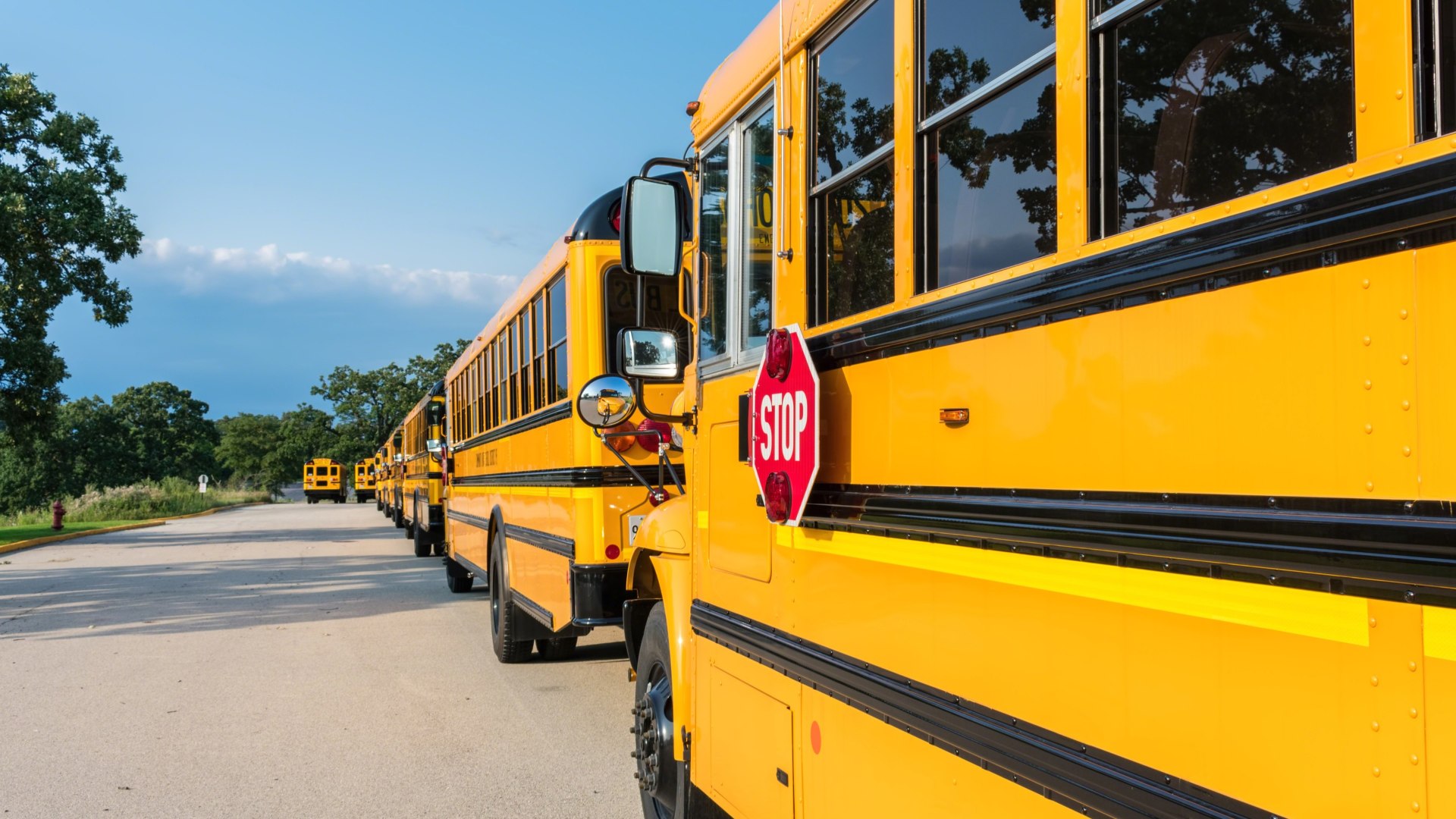 line of school buses parked