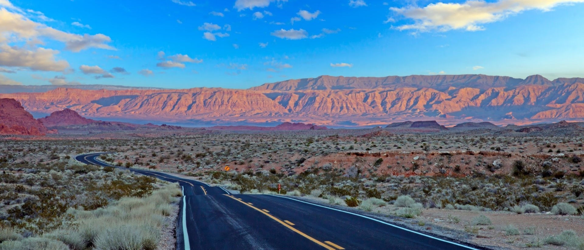 desert landscape