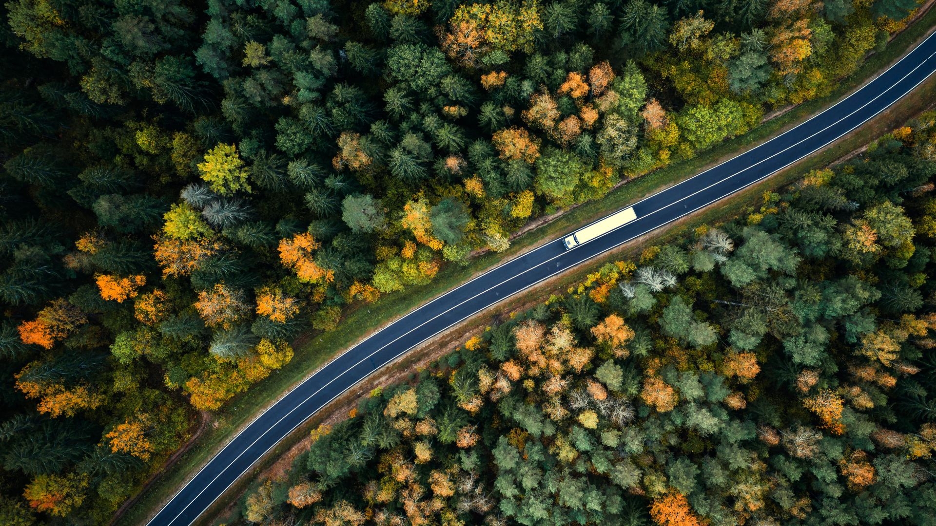 drone view of truck driving on a windy highway through forest