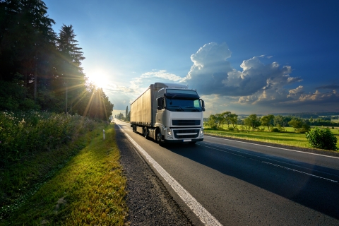 A truck driving on a highway in front of the sun shining over a forest.