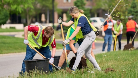 cummins employees planting trees while at volunteer event