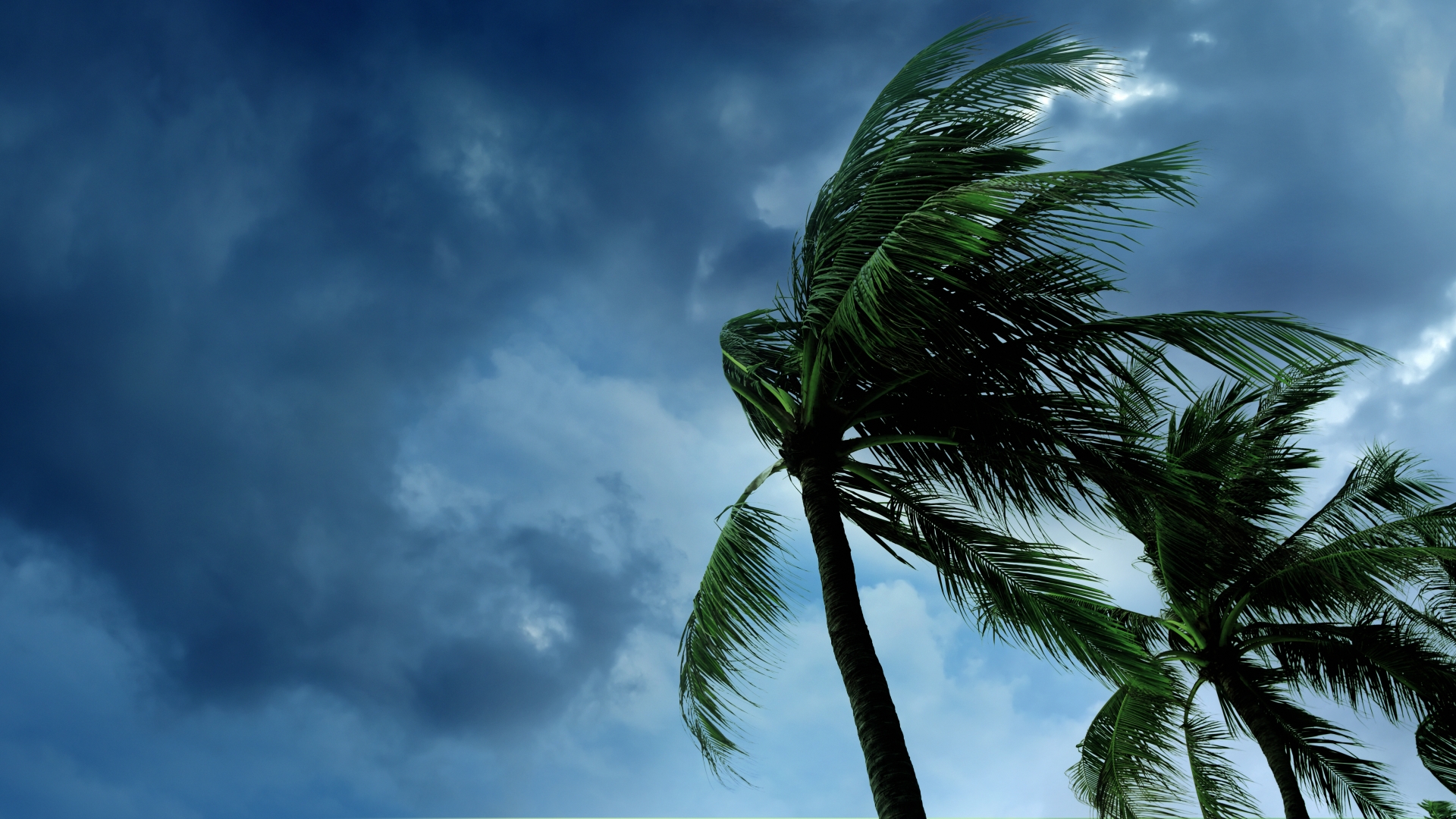 2019 Hurricane Season - Forecast