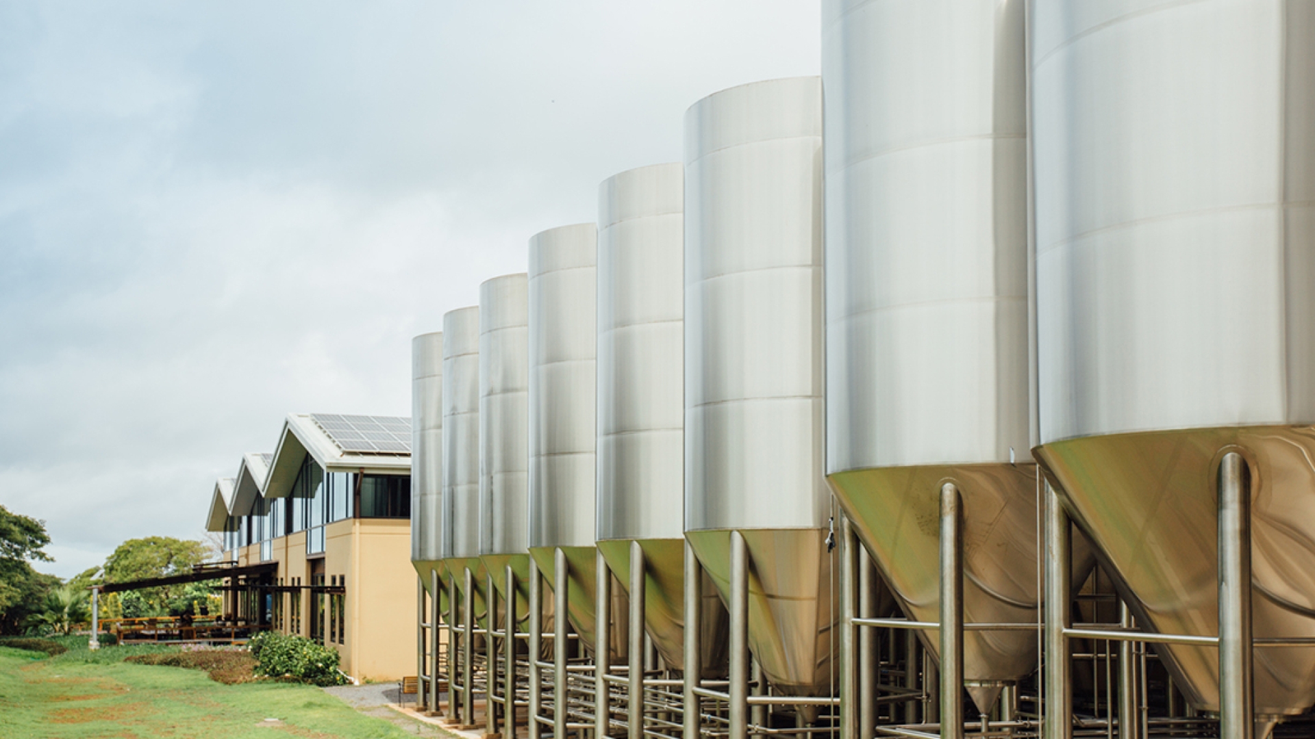 Maui Brewing Co. 