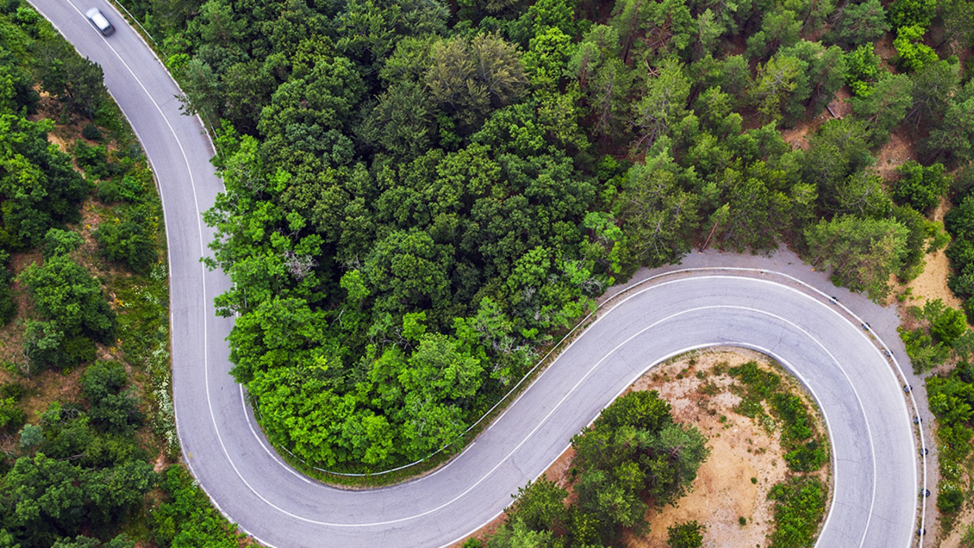 Road winding through forest