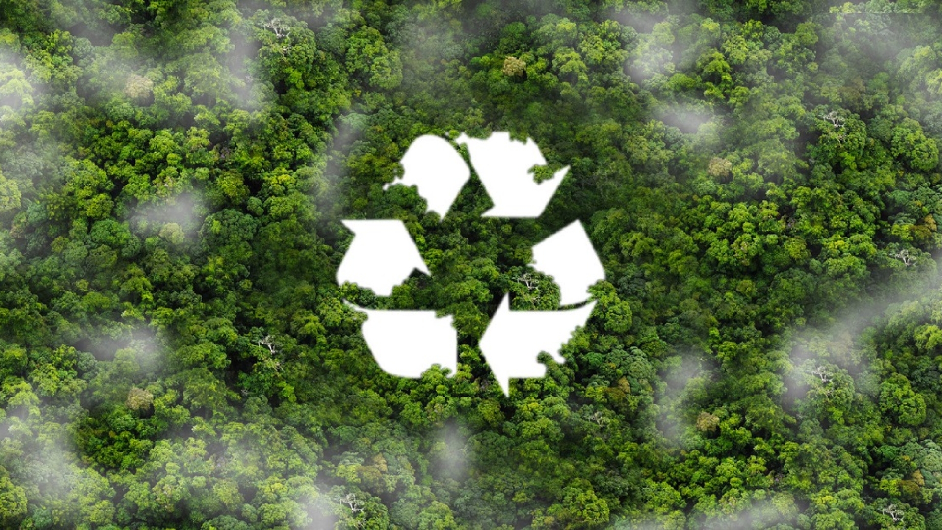 Turning landfill waste into energy