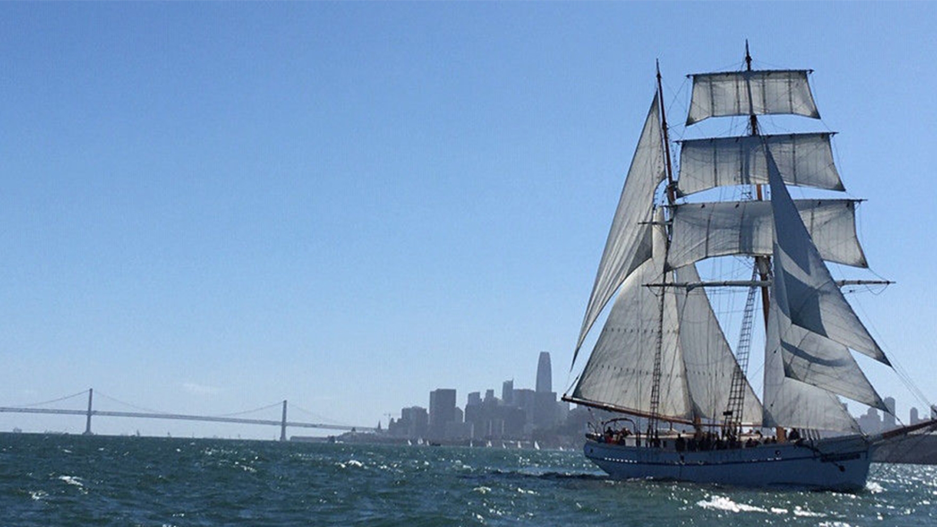 Matthew Turner vessel