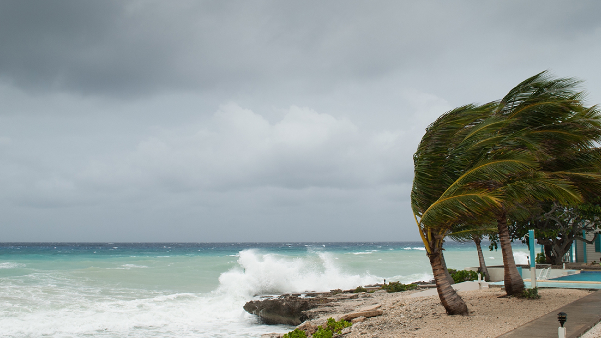 tropical storm
