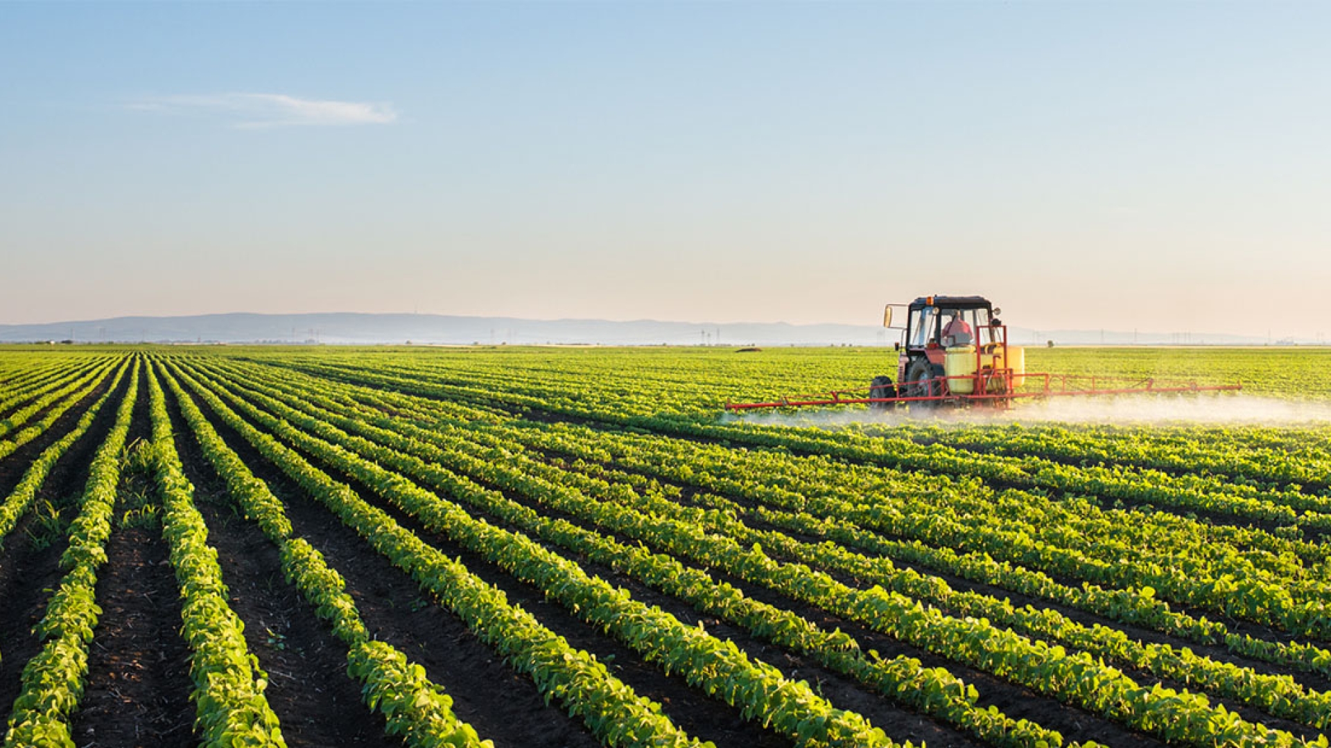 combine harvesting food in field