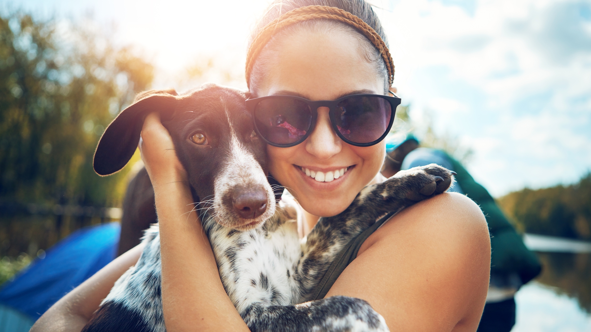 Protecting your pet in the summer heat