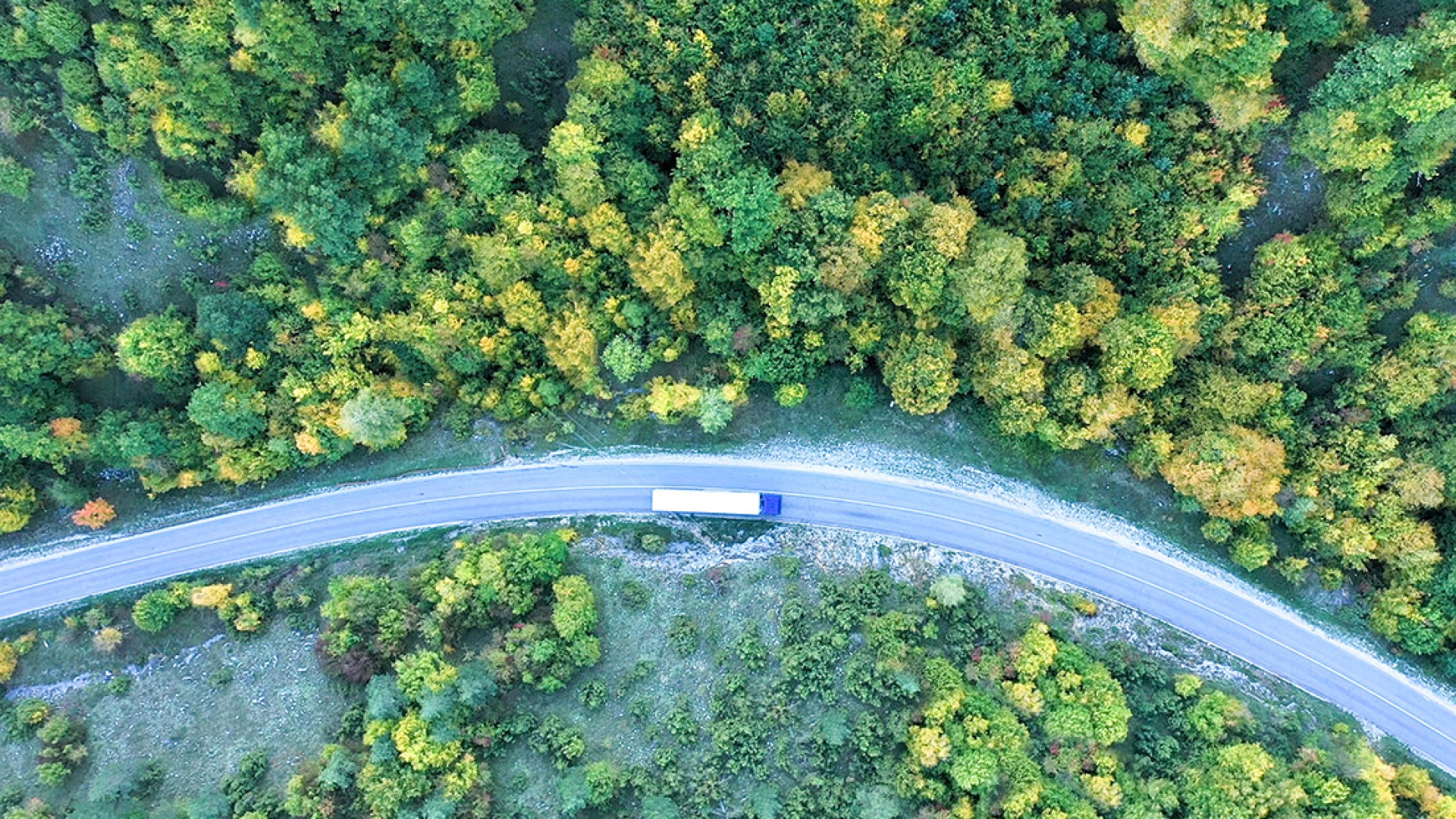 A semi truck driving on a winding road through the forest