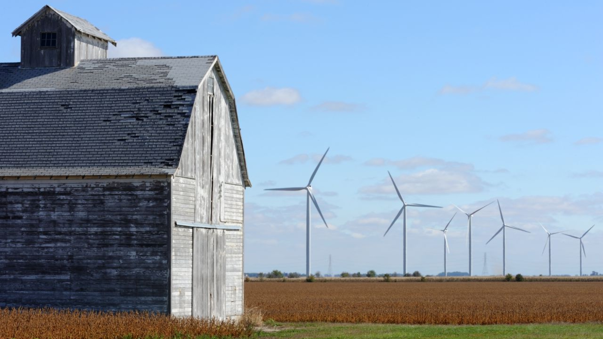 Cummins has as part of its energy goal a commitment to promote low-carbon forms of energy. The tallest turbines at Meadow Lake are more than 50-stories high.