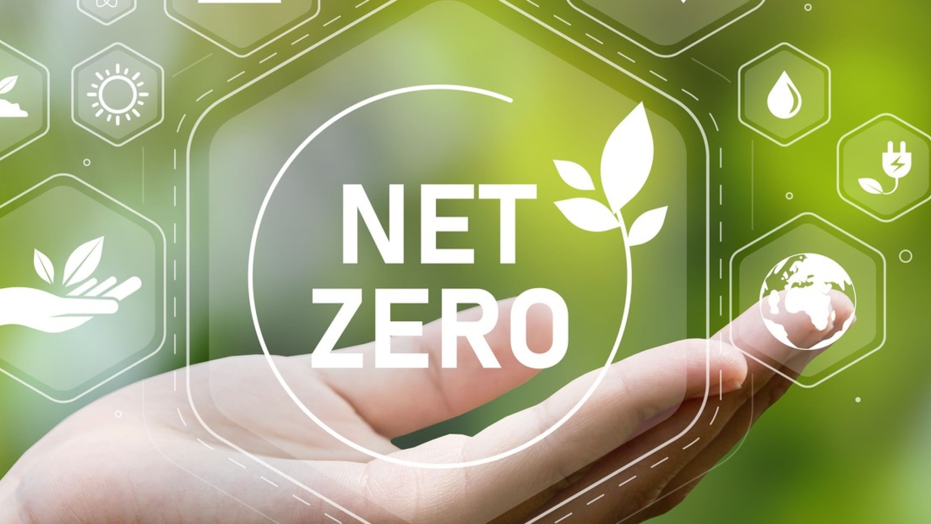 'net zero' in a bubble floating above a hand