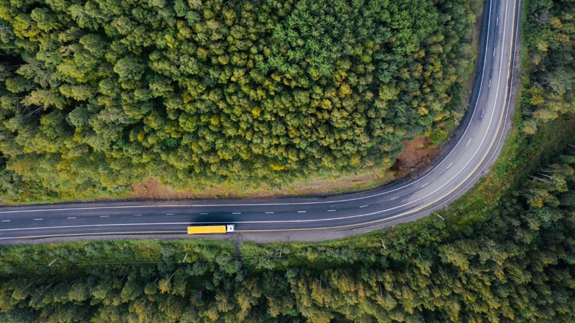 Truck on a road surrounded by trees