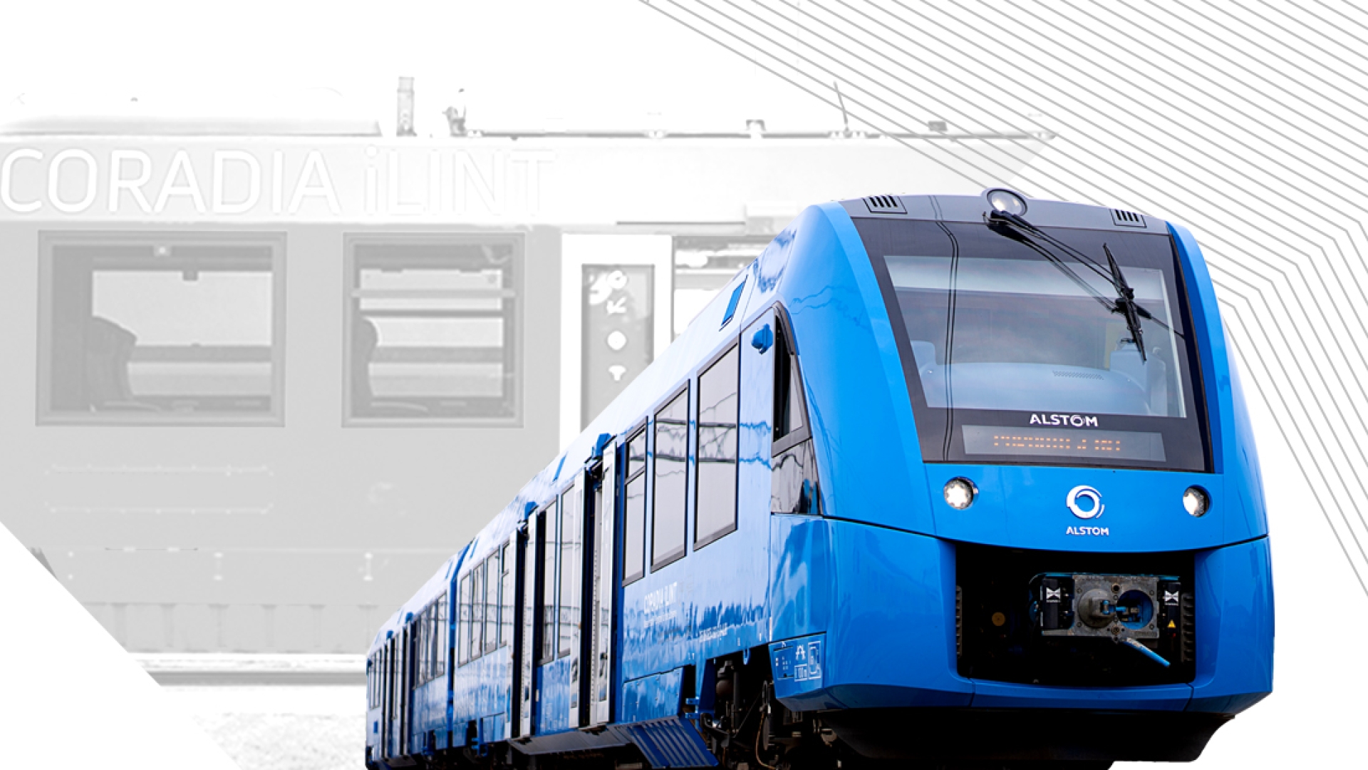 Poland Train Debut