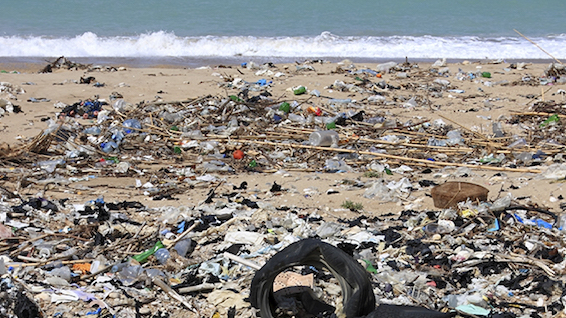 Polluted Beach