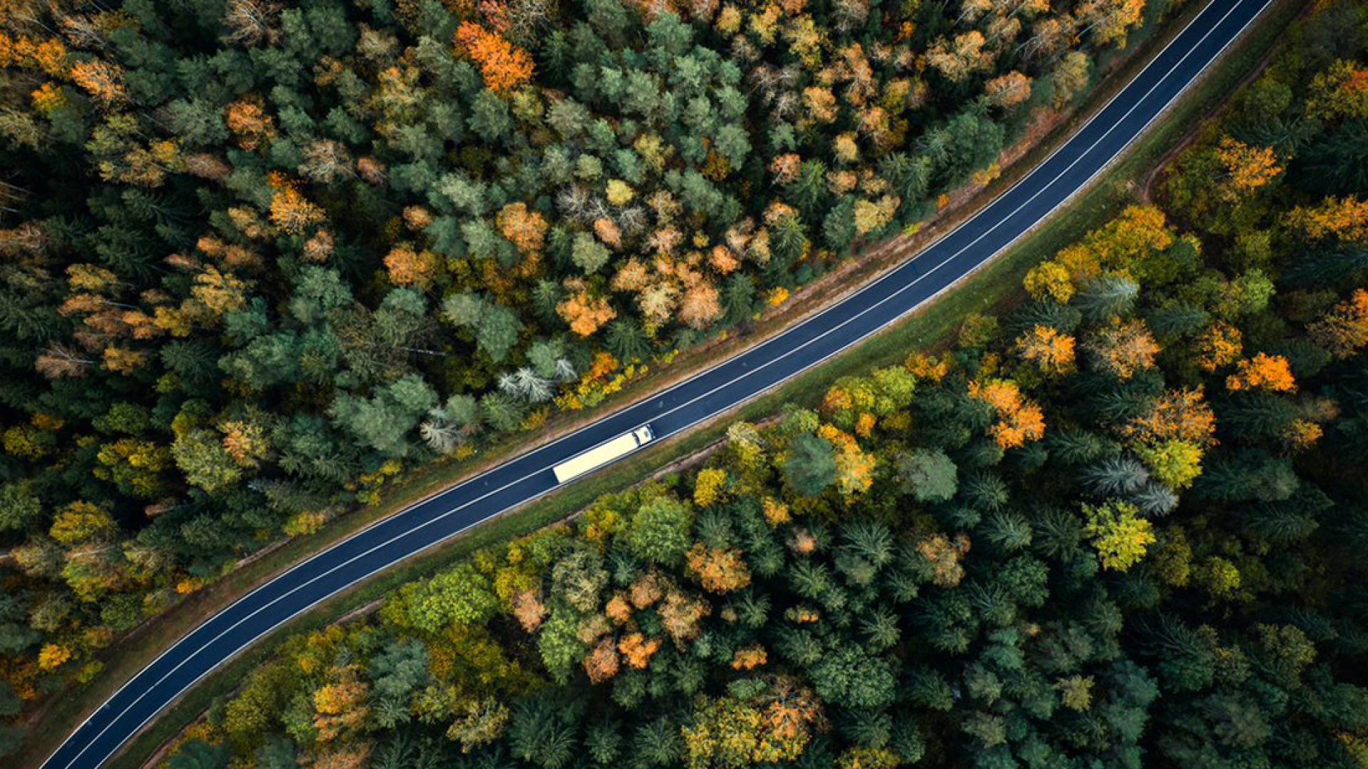 Overhead view of truck driving between trees