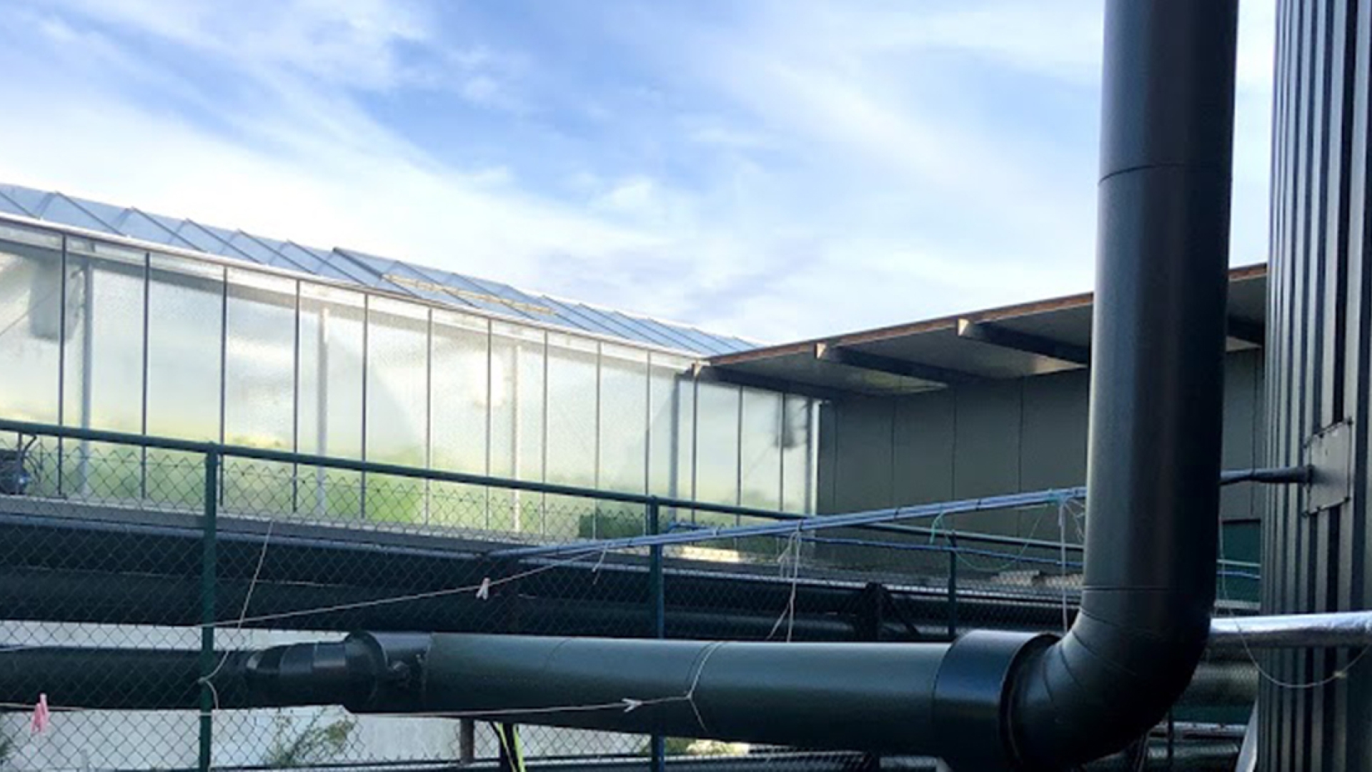 The Valegro greenhouse in Belgium uses the reliable power source of the HSK78G to flexibly meet its own energy needs. 