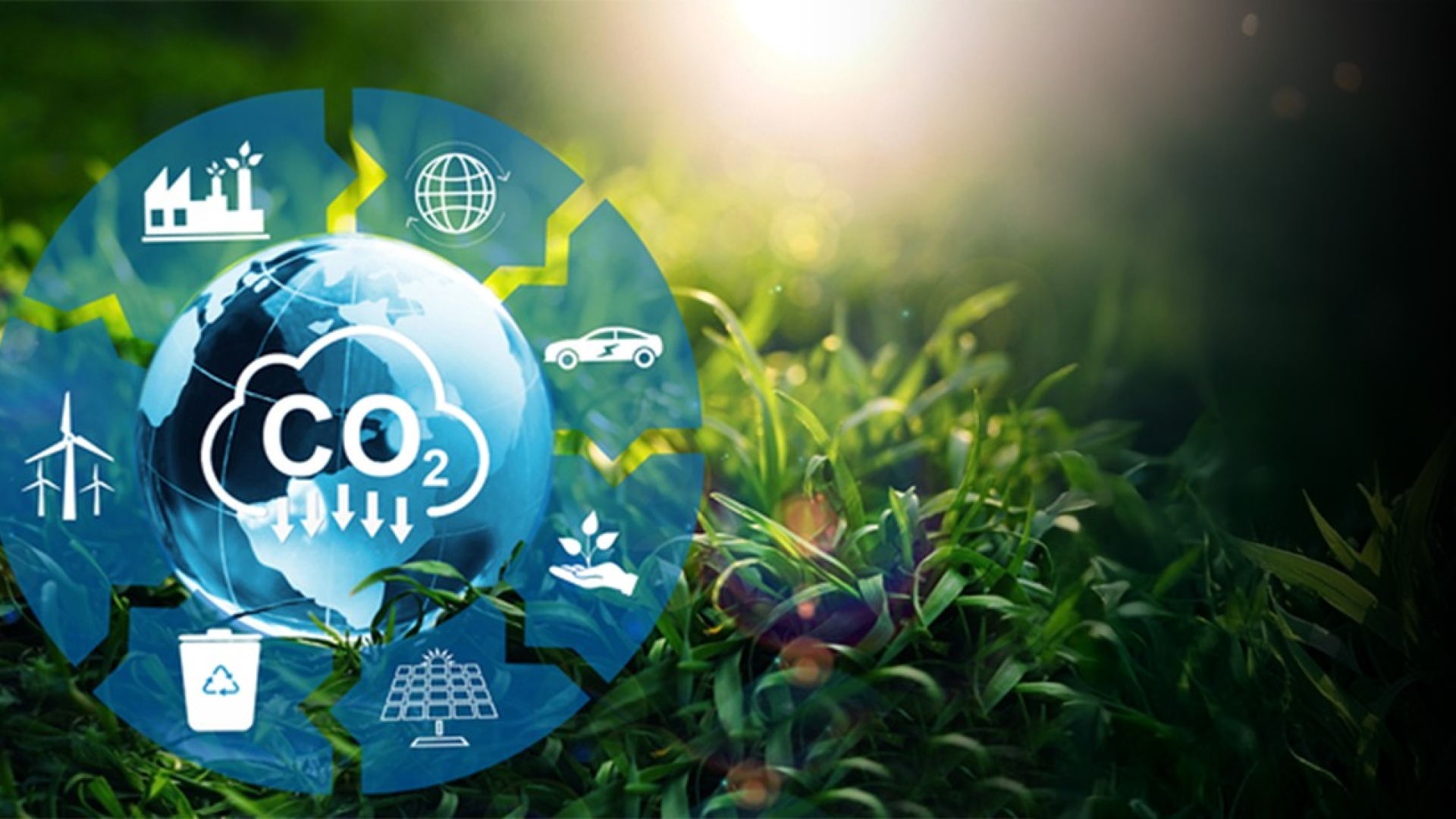 Why is Carbon Accounting Important? 