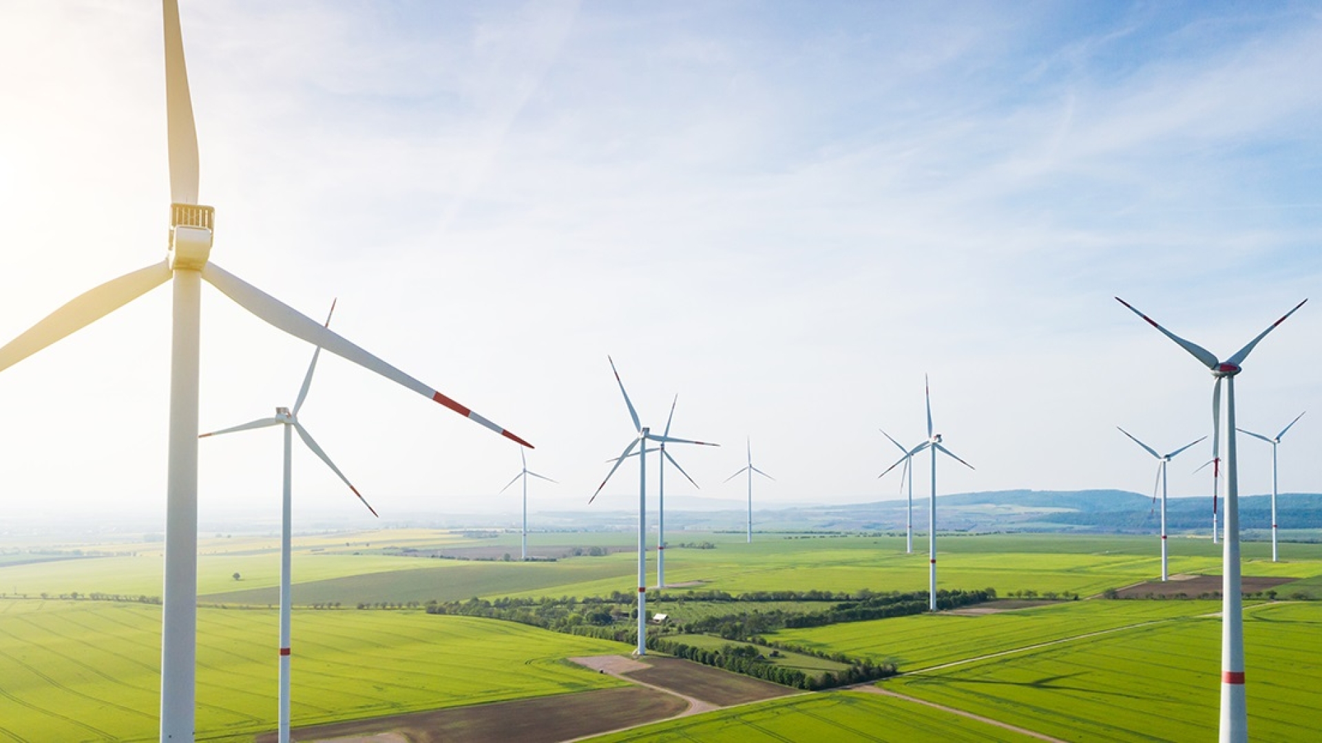 A windfarm under a sunny sky.