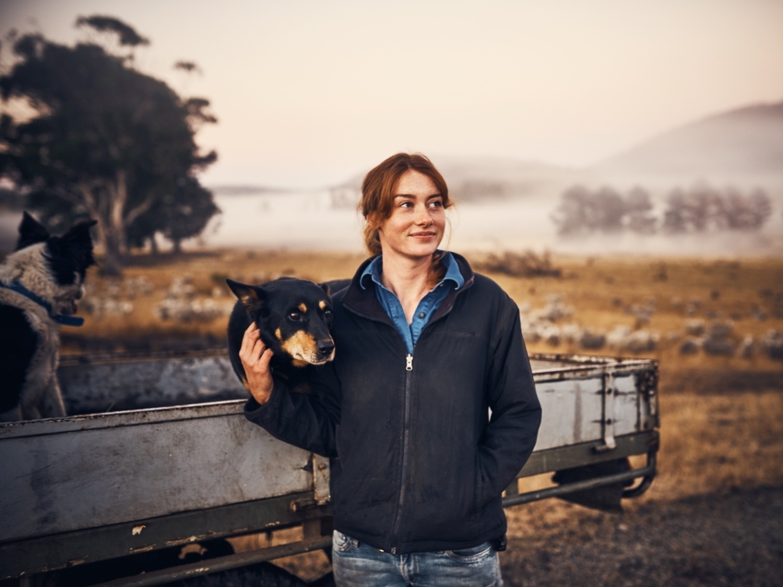 farmer with truck and dogs